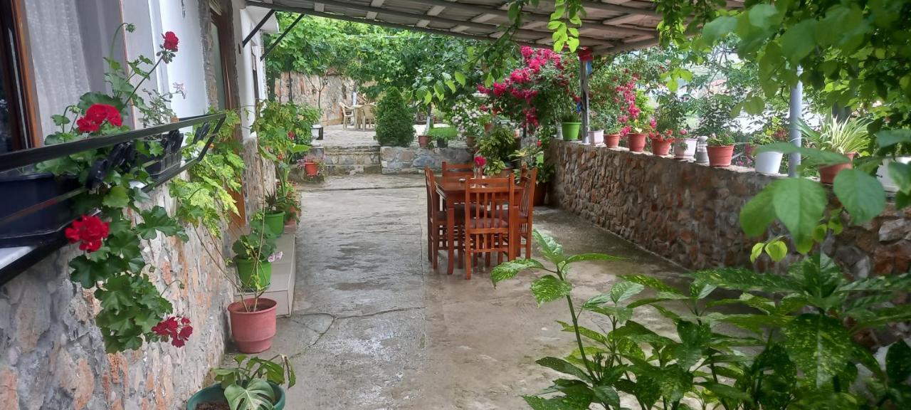 Lini Roleo Guest House מראה חיצוני תמונה