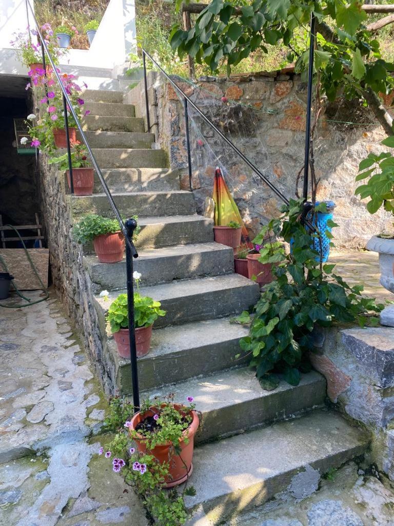 Lini Roleo Guest House מראה חיצוני תמונה