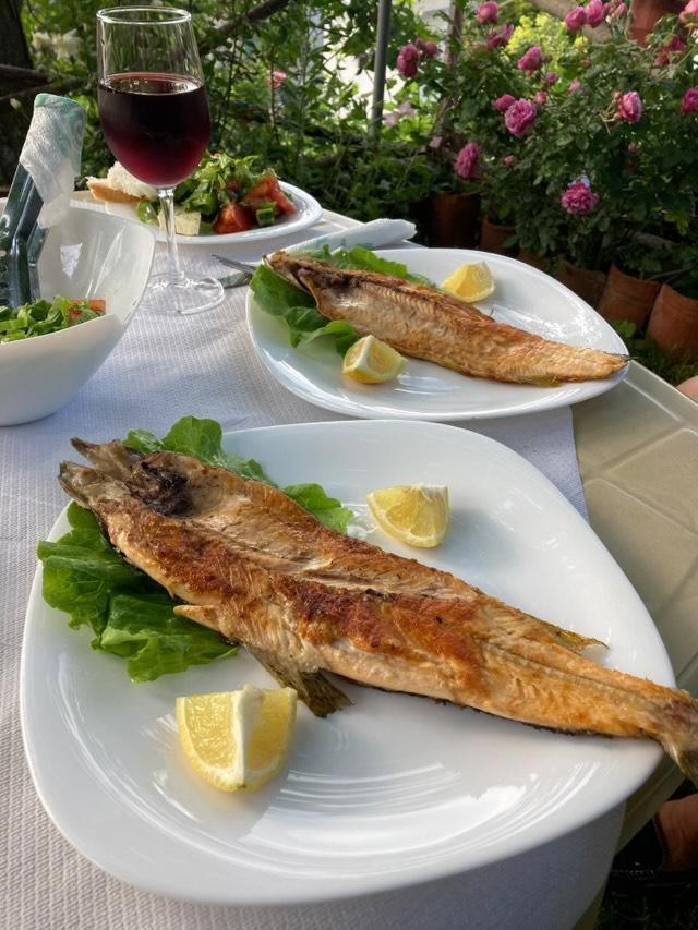 Lini Roleo Guest House מראה חיצוני תמונה