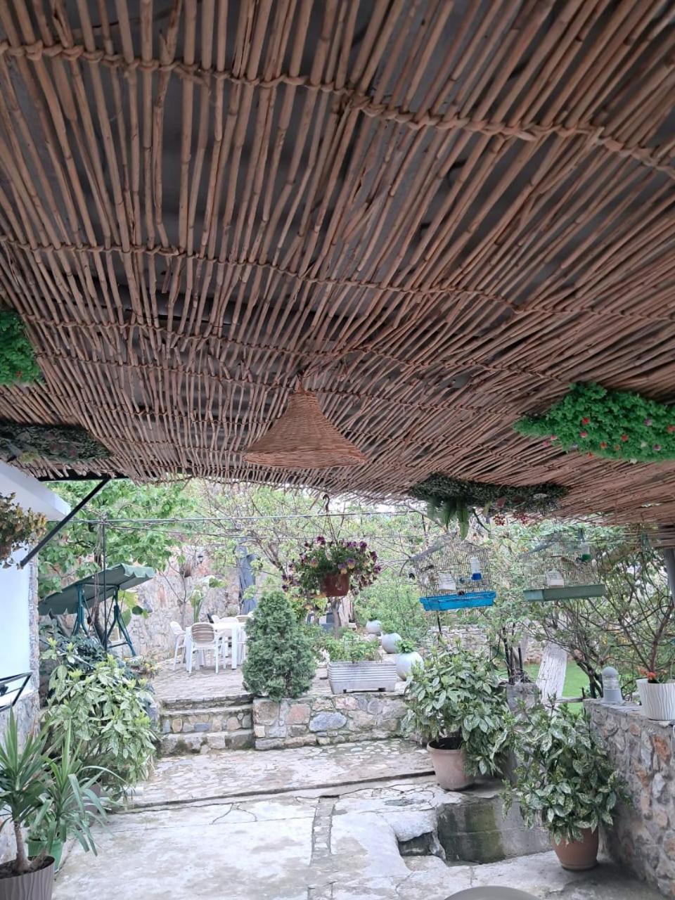 Lini Roleo Guest House מראה חיצוני תמונה
