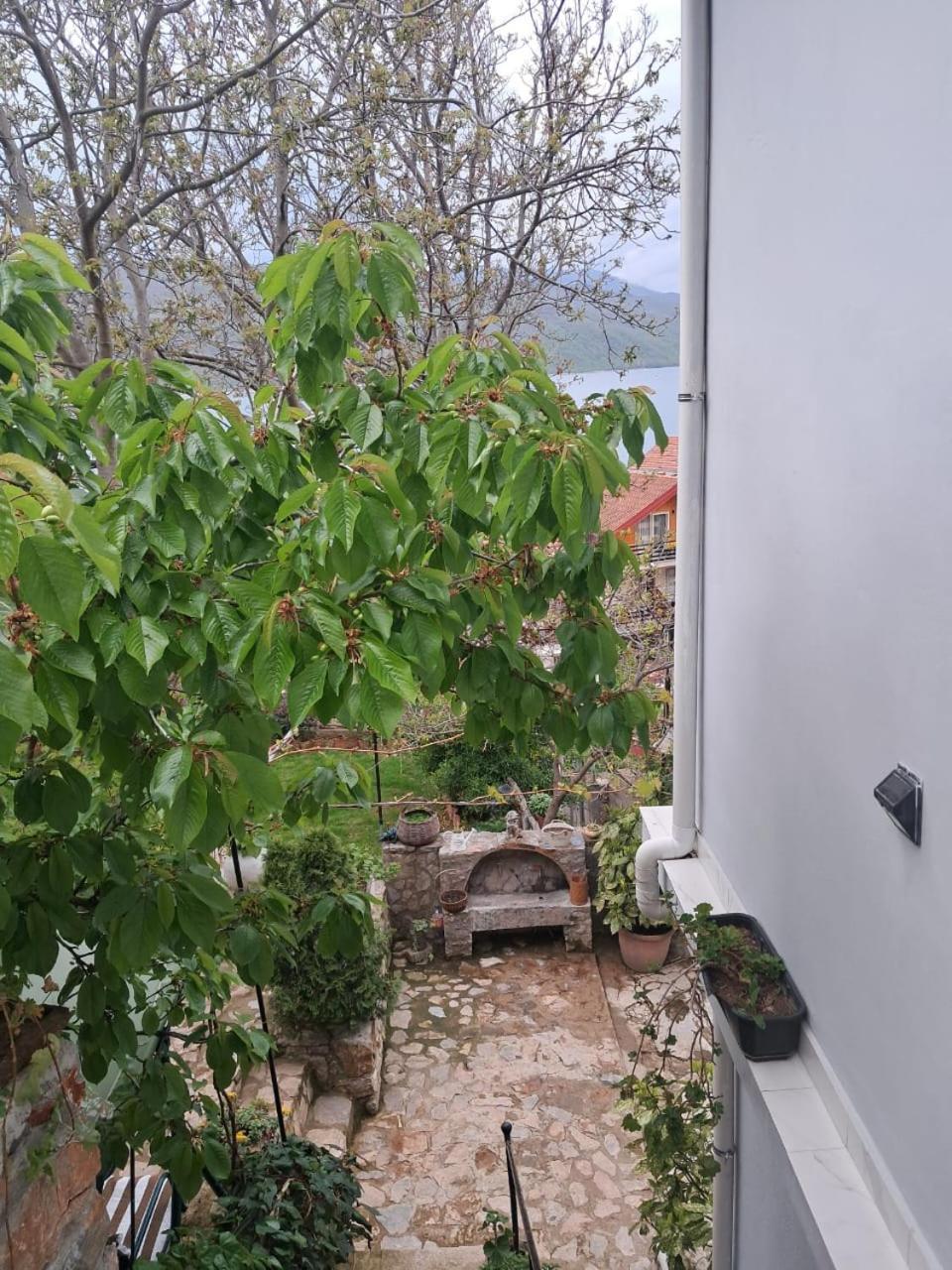 Lini Roleo Guest House מראה חיצוני תמונה